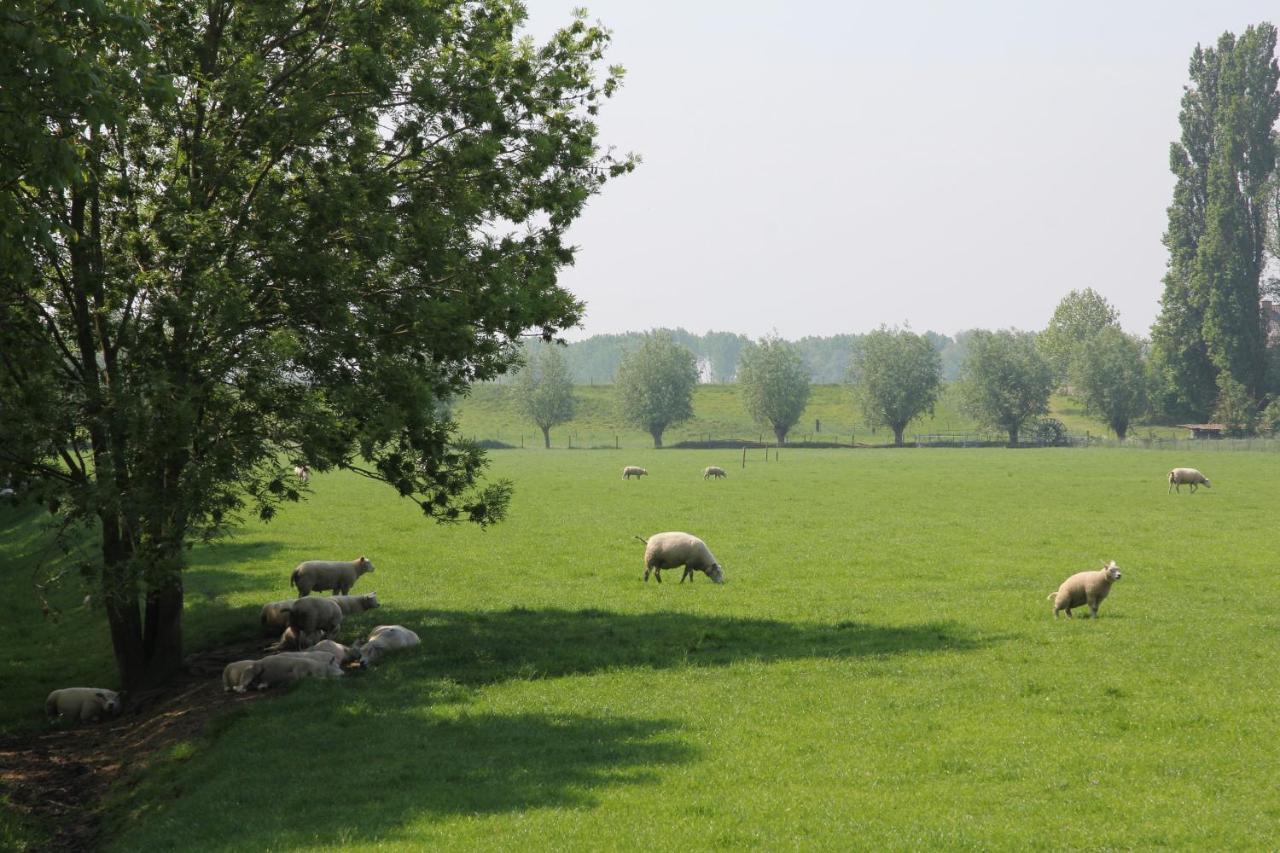 B&B Buitenwaard Oosterhout  Exteriör bild
