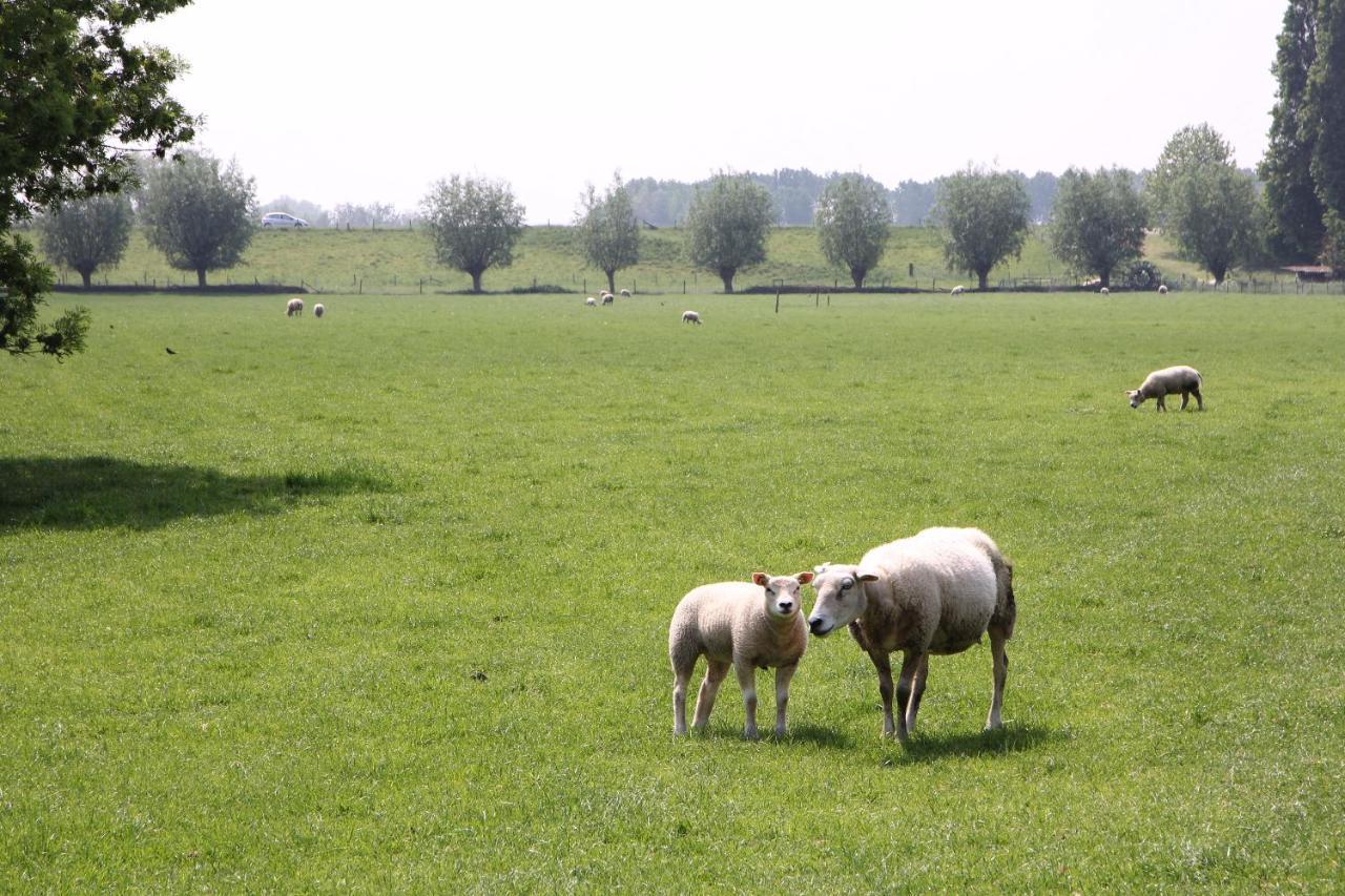 B&B Buitenwaard Oosterhout  Exteriör bild